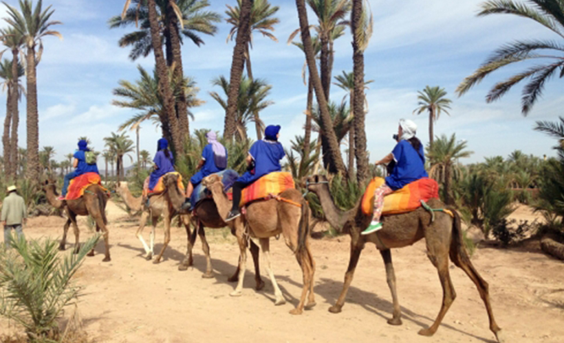 marrakesh-morocco-4